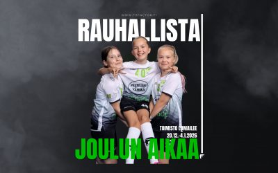 Rauhaisaa joulun aikaa kaikille